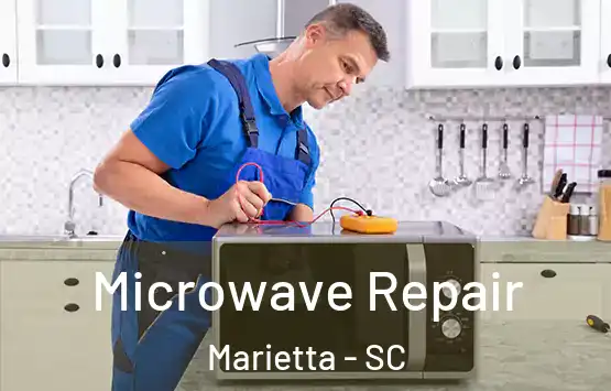  Microwave Repair Marietta - SC