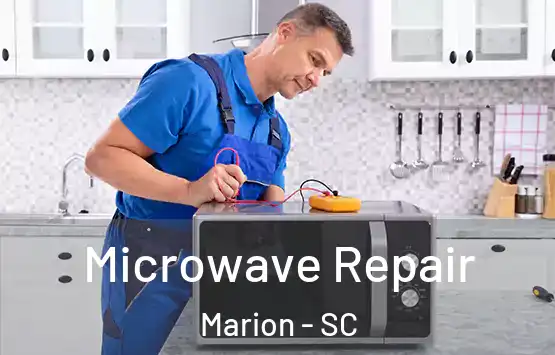  Microwave Repair Marion - SC