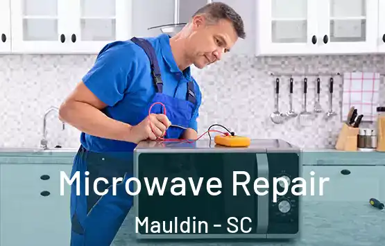  Microwave Repair Mauldin - SC