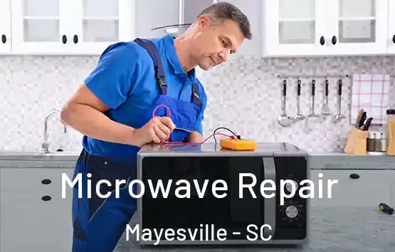  Microwave Repair Mayesville - SC