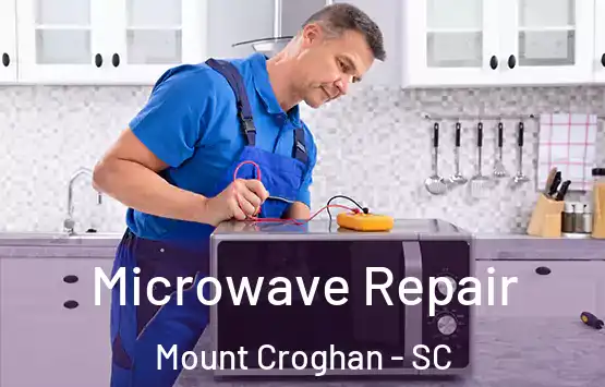  Microwave Repair Mount Croghan - SC