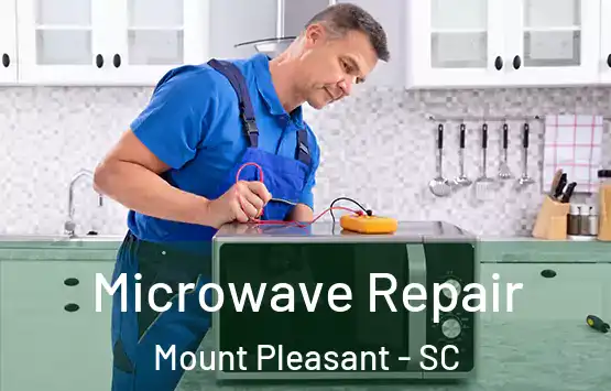  Microwave Repair Mount Pleasant - SC