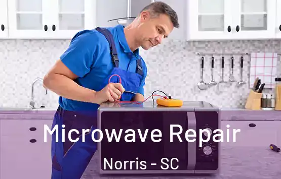  Microwave Repair Norris - SC
