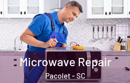 Microwave Repair Pacolet - SC