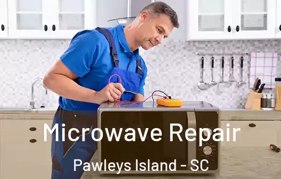  Microwave Repair Pawleys Island - SC