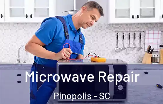  Microwave Repair Pinopolis - SC