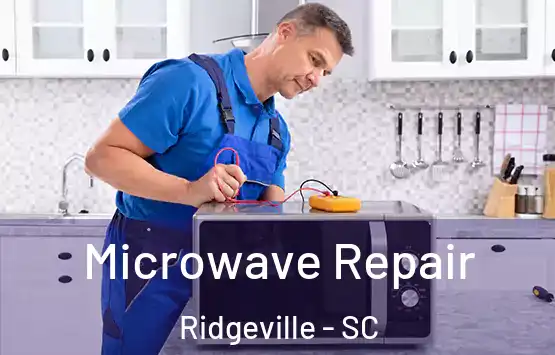  Microwave Repair Ridgeville - SC