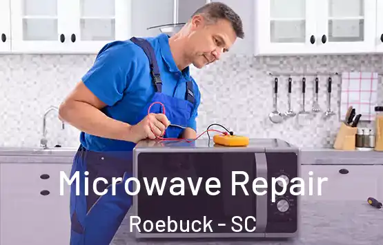  Microwave Repair Roebuck - SC