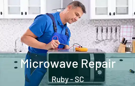  Microwave Repair Ruby - SC