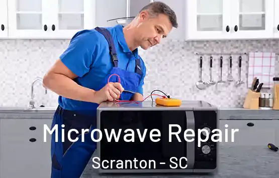  Microwave Repair Scranton - SC