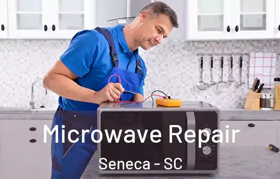  Microwave Repair Seneca - SC