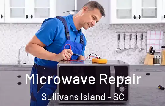  Microwave Repair Sullivans Island - SC