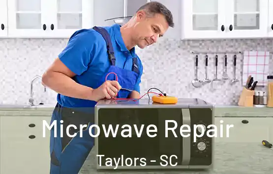  Microwave Repair Taylors - SC