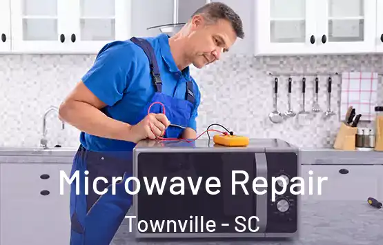  Microwave Repair Townville - SC