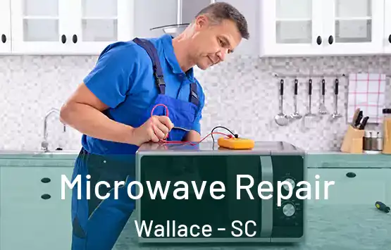  Microwave Repair Wallace - SC