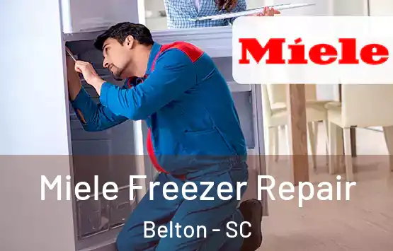  Miele Freezer Repair Belton - SC