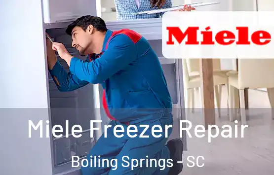  Miele Freezer Repair Boiling Springs - SC