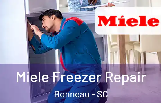  Miele Freezer Repair Bonneau - SC