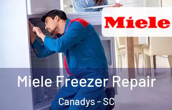 Miele Freezer Repair Canadys - SC