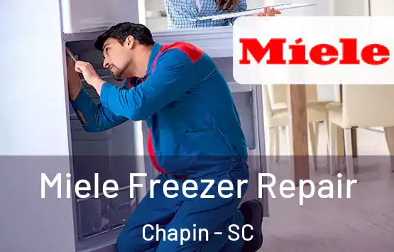  Miele Freezer Repair Chapin - SC