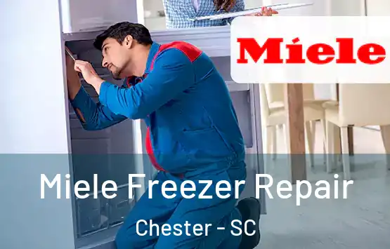  Miele Freezer Repair Chester - SC