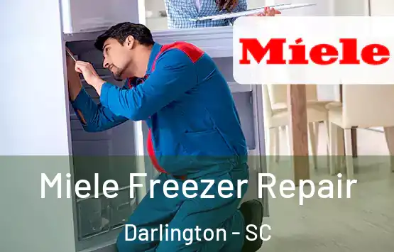  Miele Freezer Repair Darlington - SC