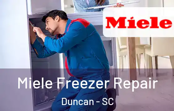  Miele Freezer Repair Duncan - SC