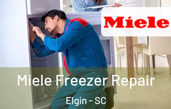  Miele Freezer Repair Elgin - SC