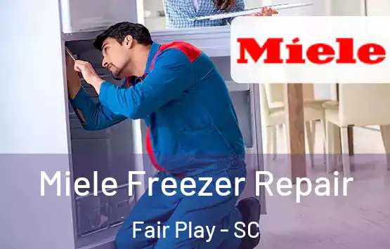  Miele Freezer Repair Fair Play - SC