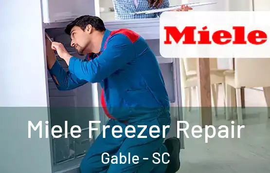  Miele Freezer Repair Gable - SC
