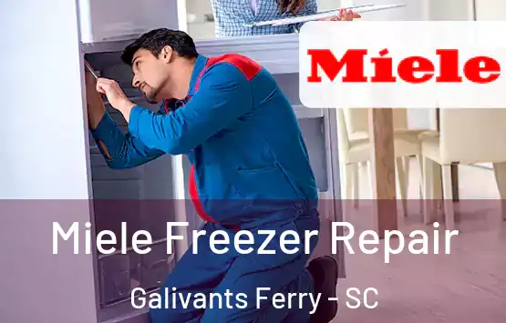  Miele Freezer Repair Galivants Ferry - SC