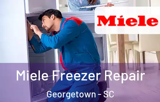  Miele Freezer Repair Georgetown - SC
