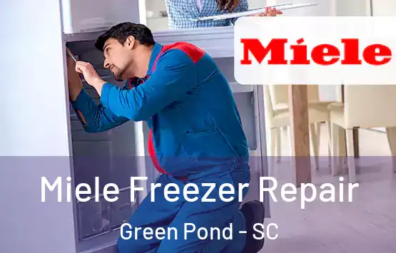  Miele Freezer Repair Green Pond - SC