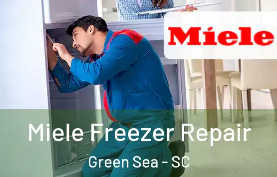  Miele Freezer Repair Green Sea - SC
