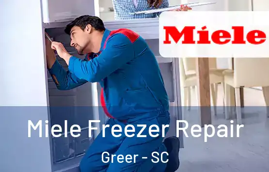  Miele Freezer Repair Greer - SC