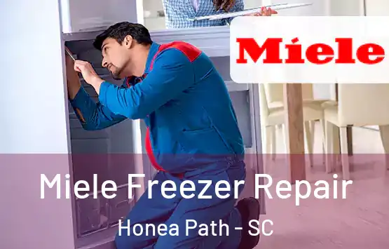  Miele Freezer Repair Honea Path - SC
