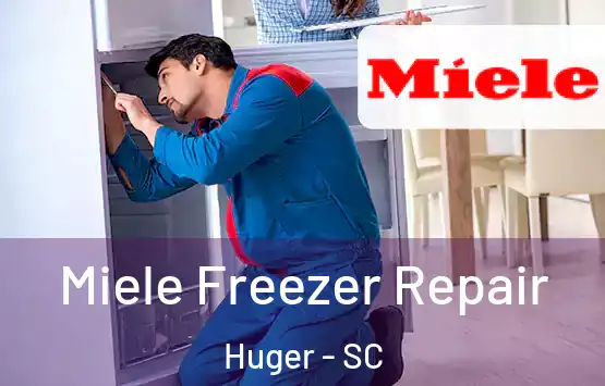  Miele Freezer Repair Huger - SC