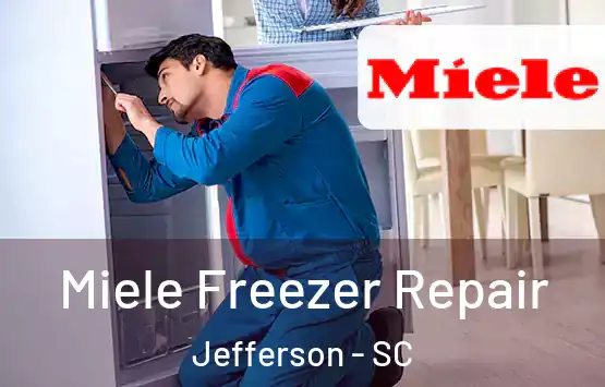  Miele Freezer Repair Jefferson - SC