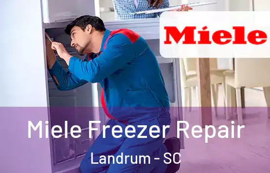  Miele Freezer Repair Landrum - SC