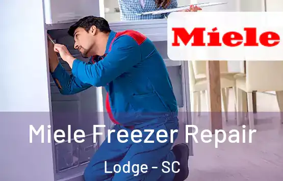  Miele Freezer Repair Lodge - SC