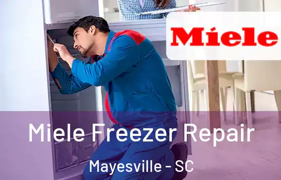  Miele Freezer Repair Mayesville - SC