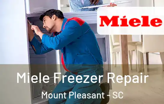 Miele Freezer Repair Mount Pleasant - SC