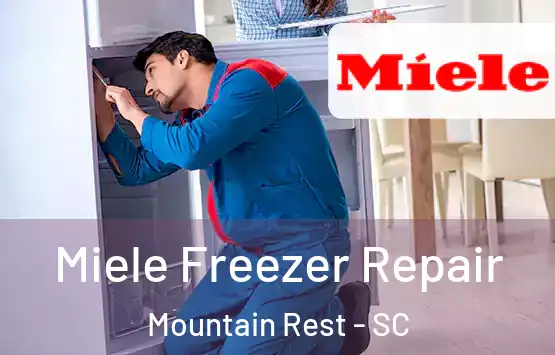  Miele Freezer Repair Mountain Rest - SC