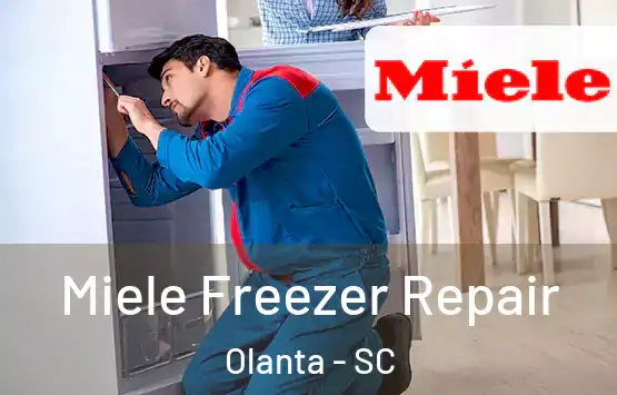  Miele Freezer Repair Olanta - SC