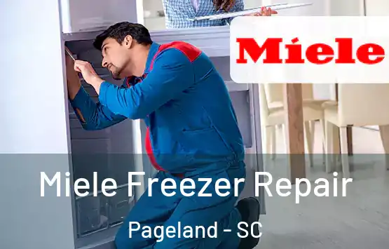  Miele Freezer Repair Pageland - SC