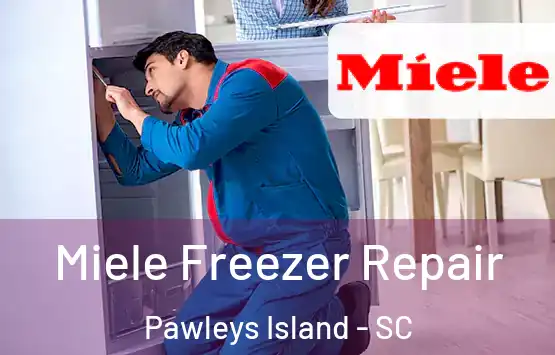  Miele Freezer Repair Pawleys Island - SC