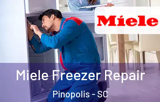  Miele Freezer Repair Pinopolis - SC