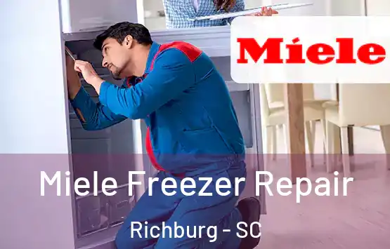 Miele Freezer Repair Richburg - SC