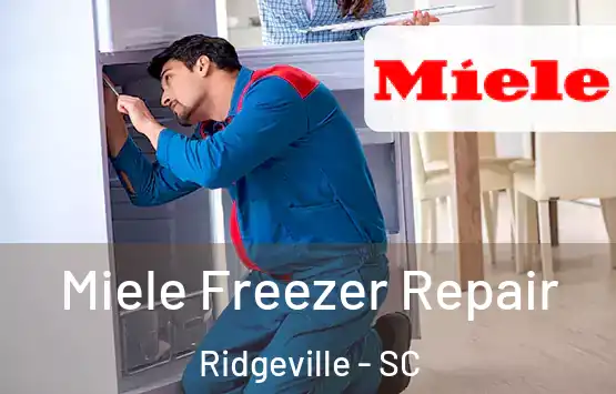 Miele Freezer Repair Ridgeville - SC