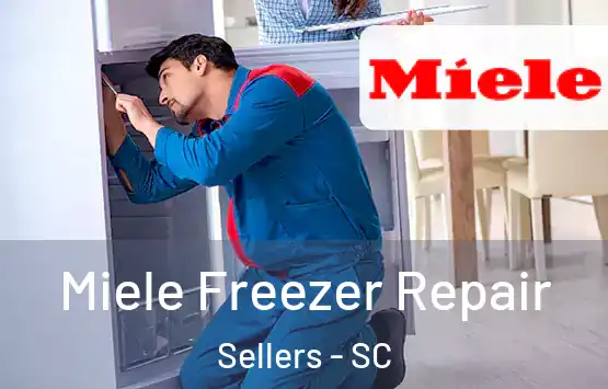  Miele Freezer Repair Sellers - SC